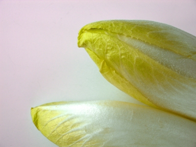 Chicorée