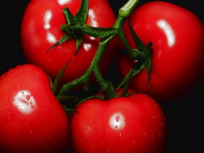 Tomate
