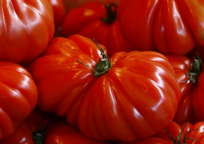 Ochsenherz-Tomaten Quelle Peter Kirchhoff pixelio.de