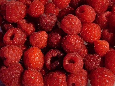 himbeeren Quelle Karin Schmidt pixelio.de